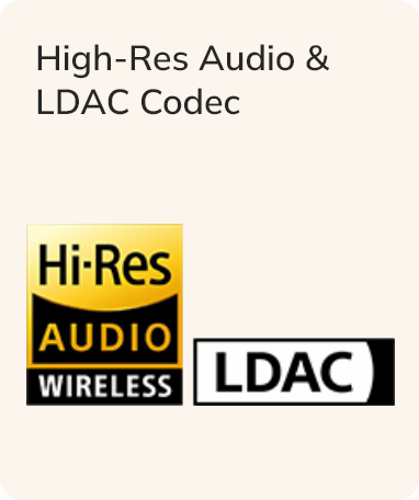 Logo Audio ad Alta Risoluzione e Codec LDAC.