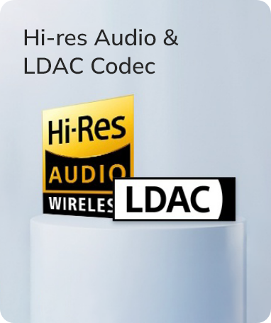 Loghi Hi-Res Audio e codec LDAC per una qualità audio wireless di alta qualità.